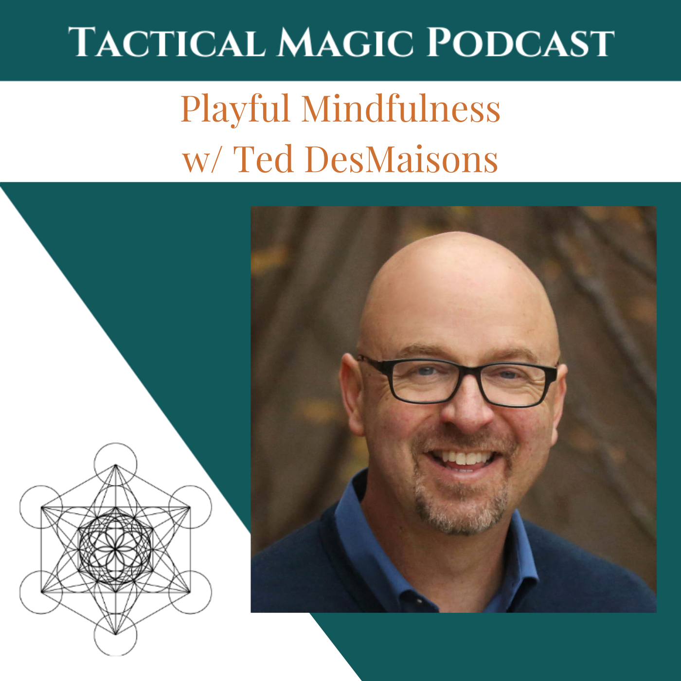 Playful Mindfulness w/ Ted DesMaisons