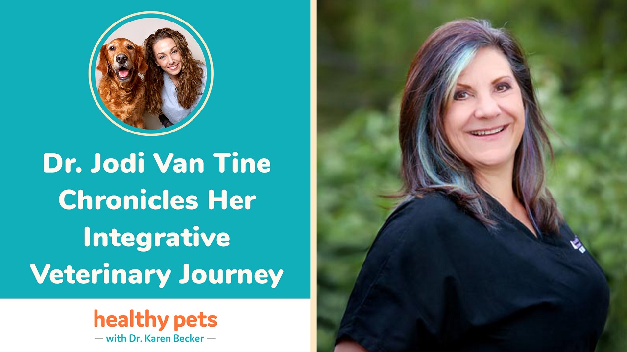 Dr. Jodi Van Tine Chronicles Her Integrative Veterinary Journey