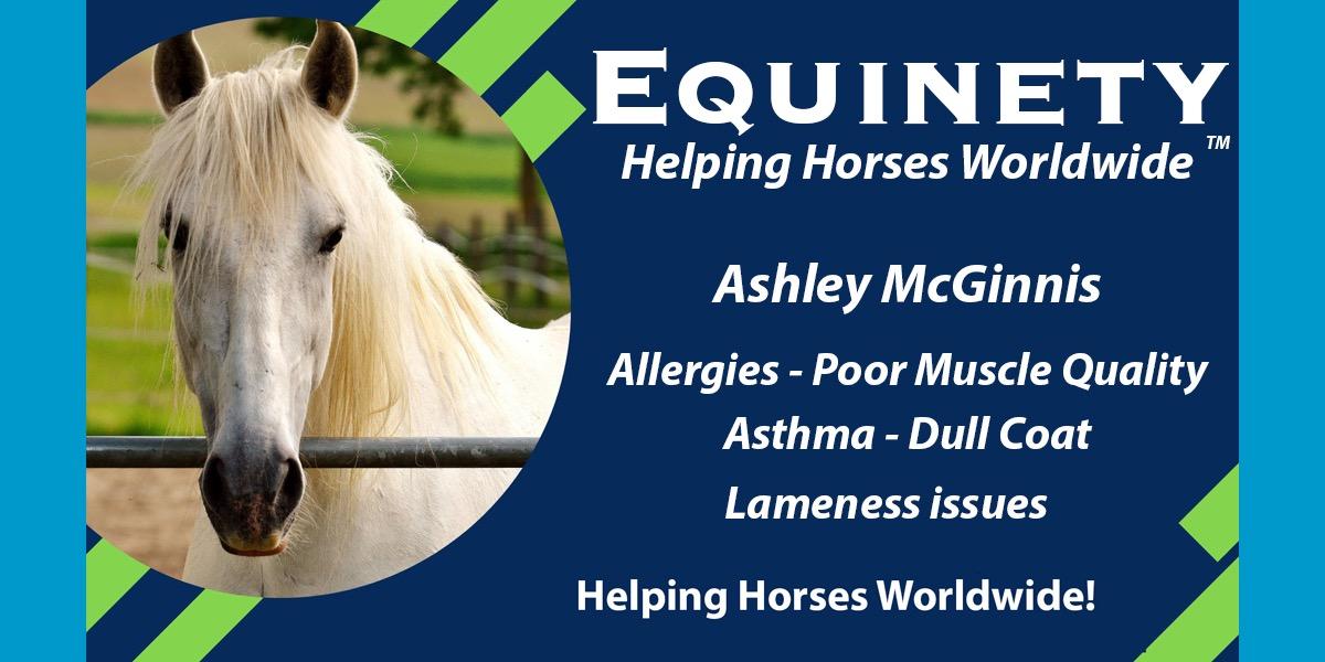 Ashley McGinnis – Major Allergies issues – Poor Muscle Quality - Asthma – Dull Coat – Lameness issues – Equinety has turned this horse around