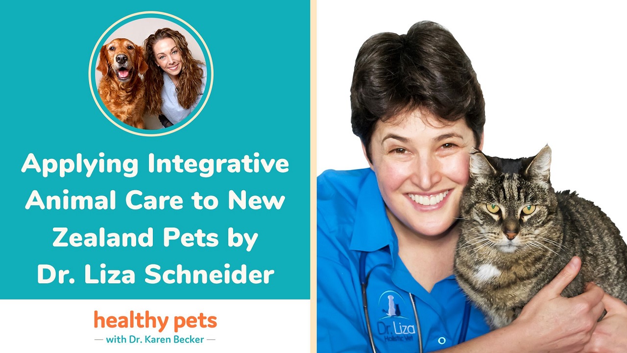 Applying Integrative Animal Care to New Zealand Pets by Dr. Liza Schneider