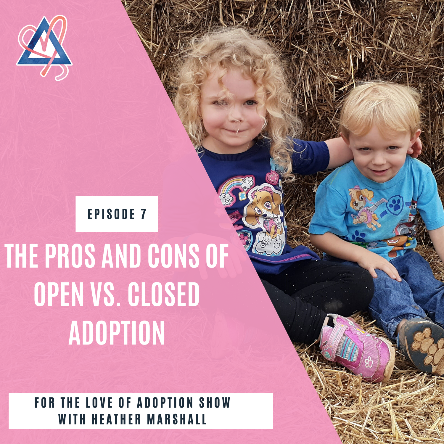For the Love of Adoption Show