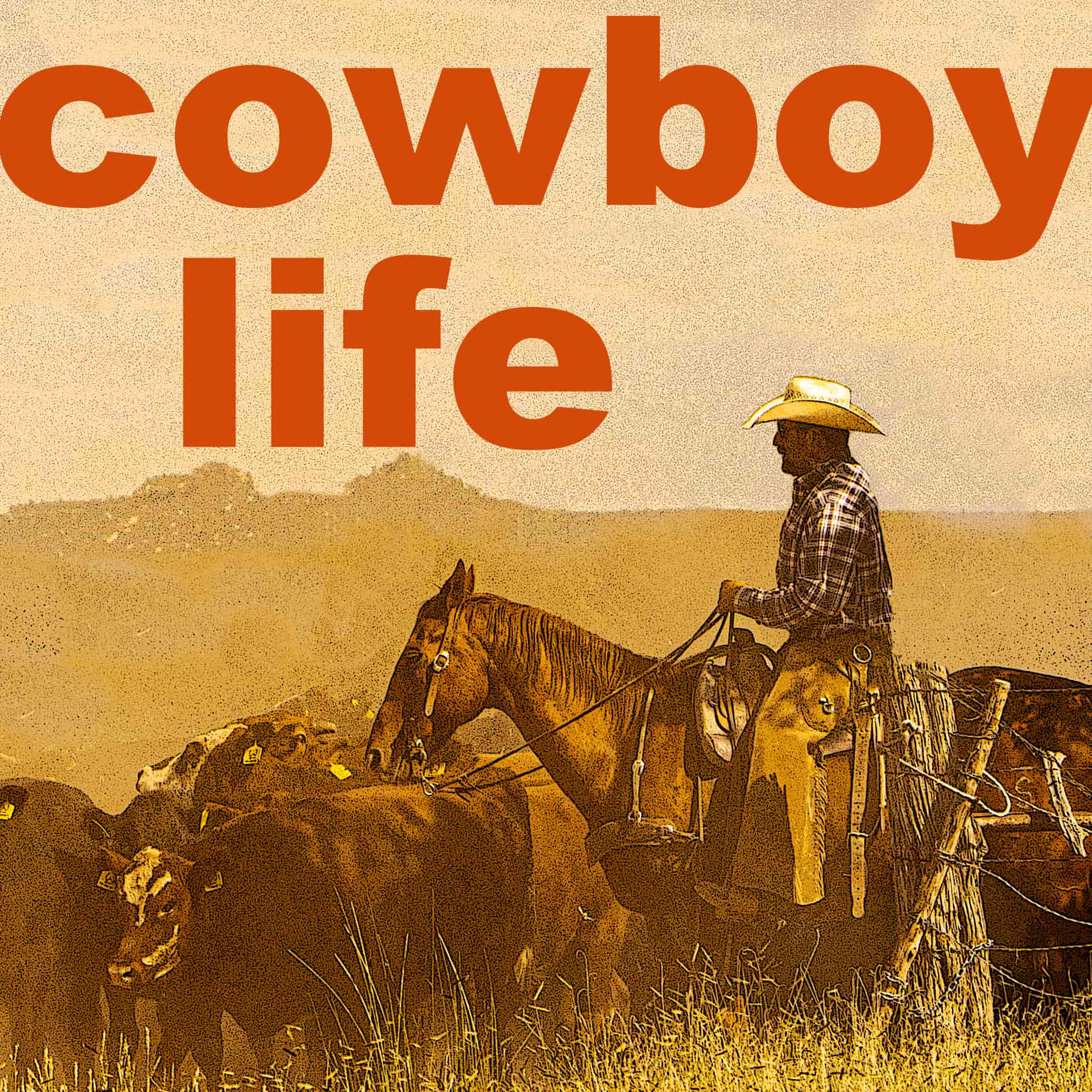 Terry Forst Stuart Ranch Waurika OK Founded 1868 Maintaining 38 000 