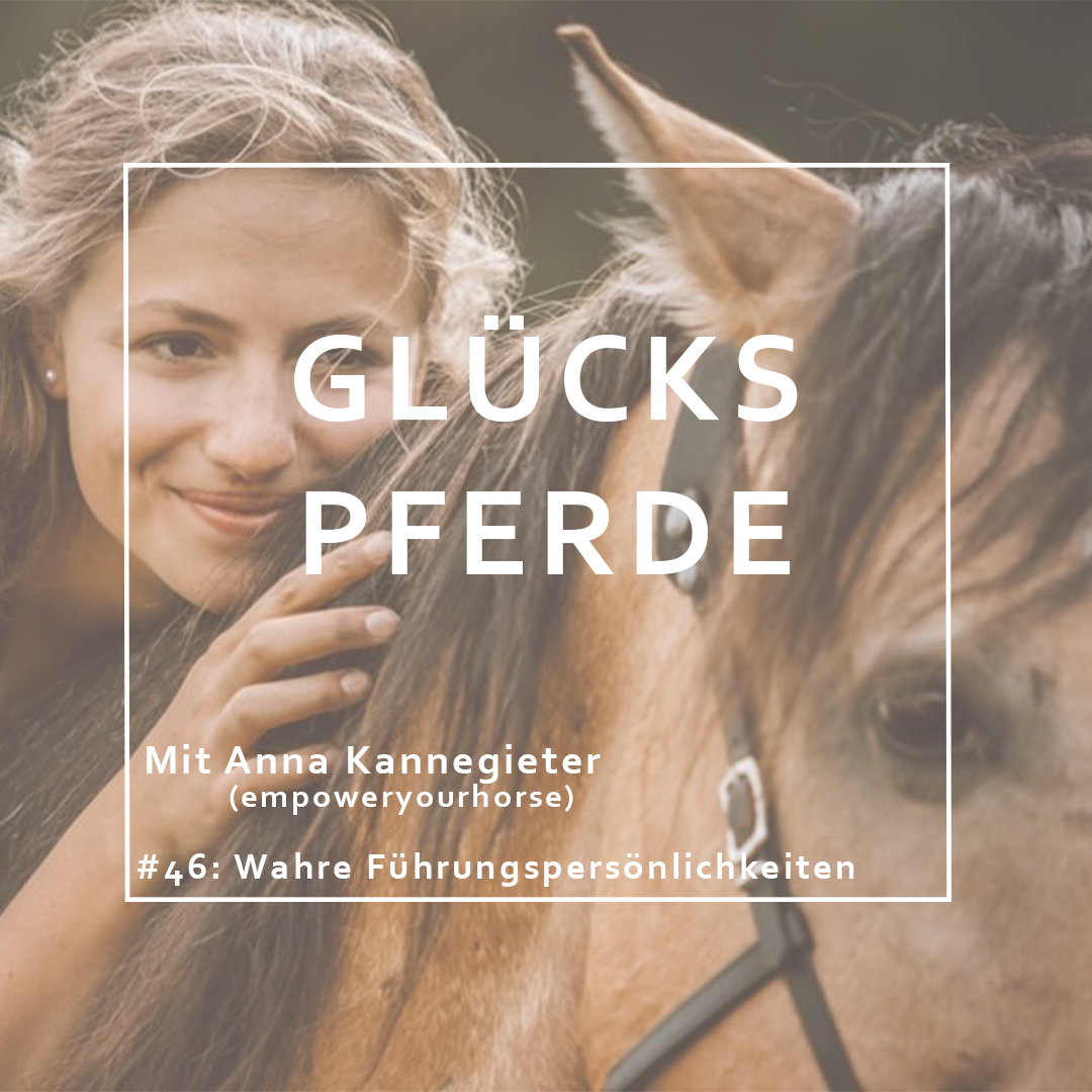 GlücksPferde - Erfüllt leben im Spiegel der Pferde
