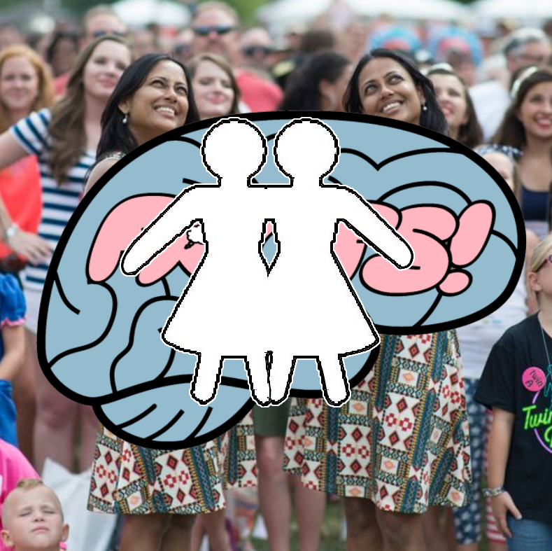 Twins two lives one personality essay example 07 image