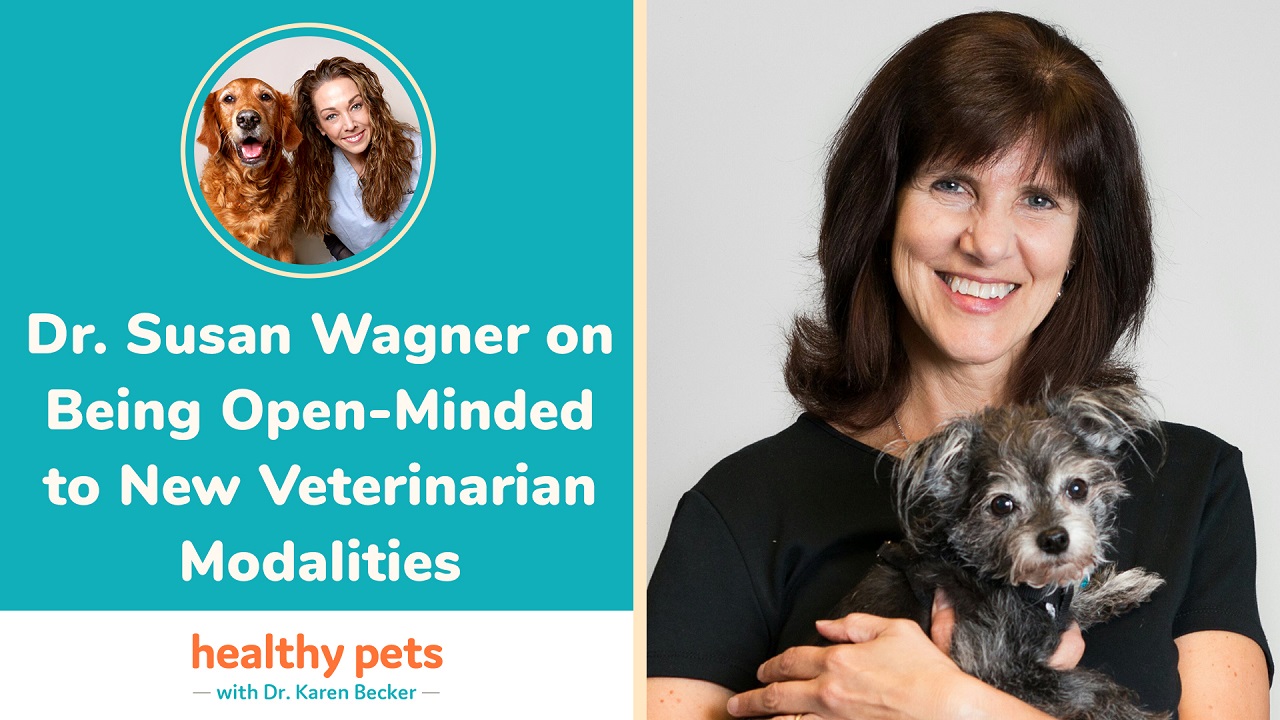 Dr. Susan Wagner on Being Open-Minded to New Veterinarian Modalities