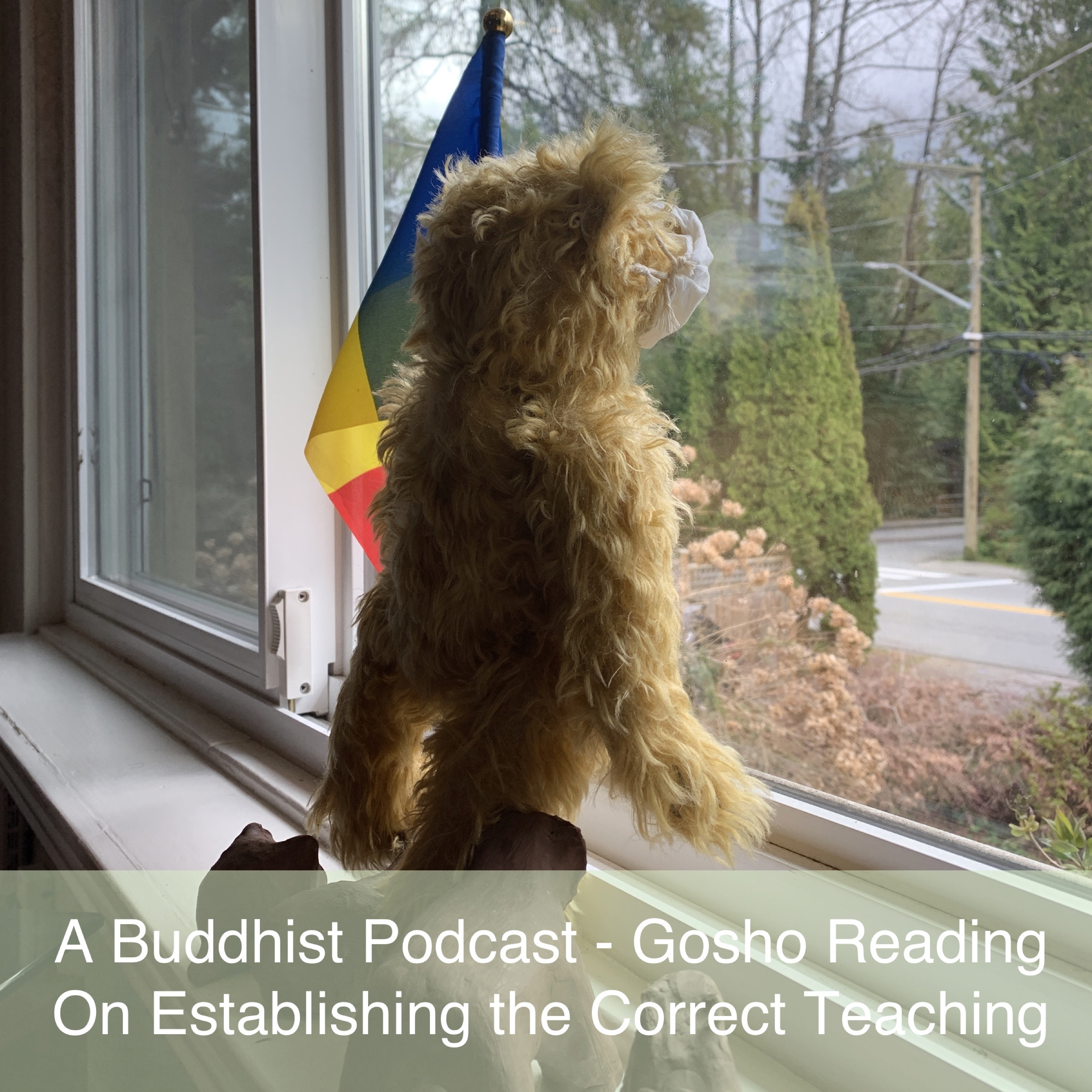 Gosho Reading - On establishing the correct teaching for the peace of the land