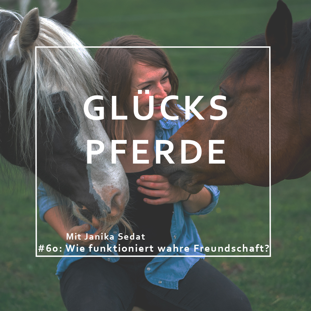 GlücksPferde - Erfüllt leben im Spiegel der Pferde