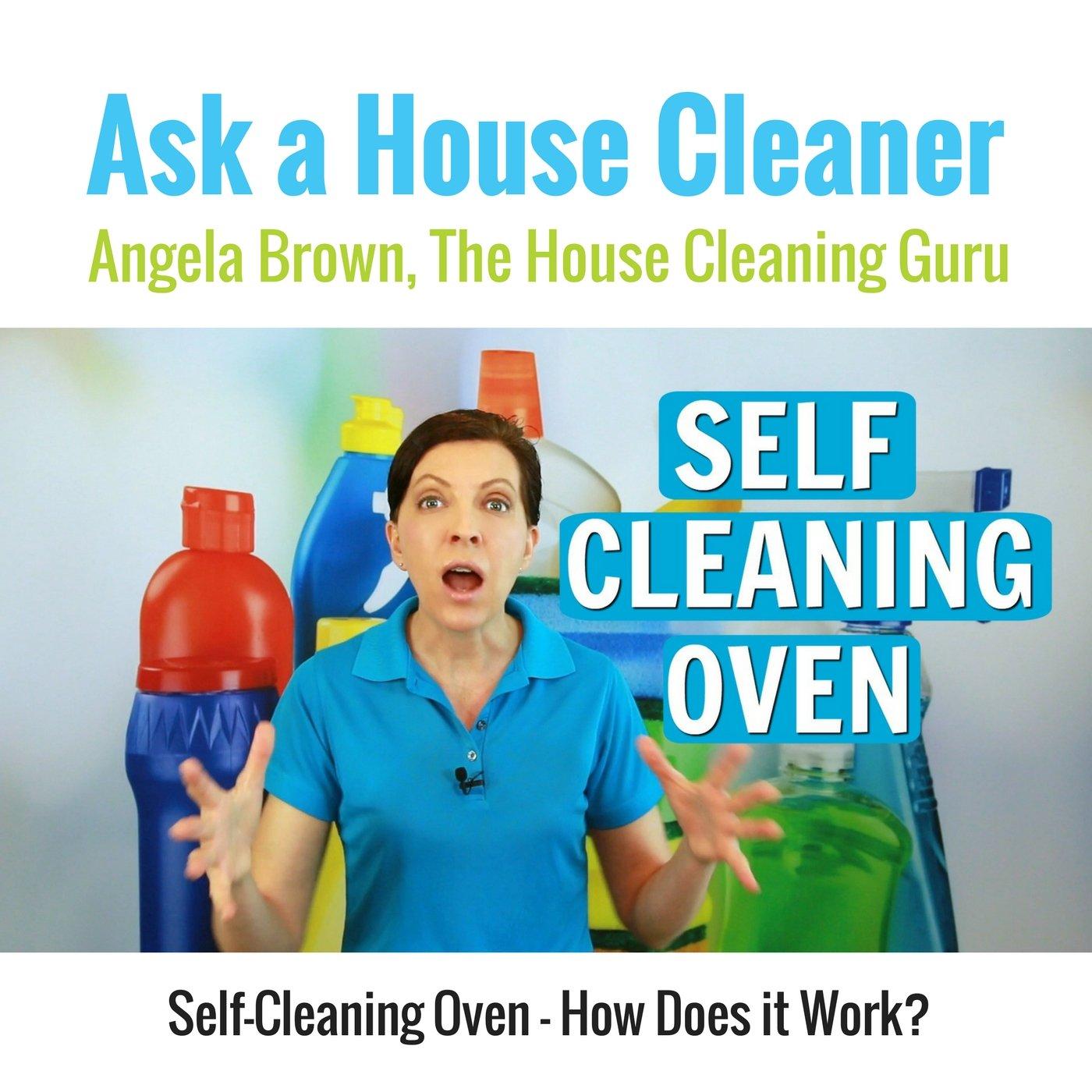 SelfCleaning Oven How Does it Work? Listen to podcast online