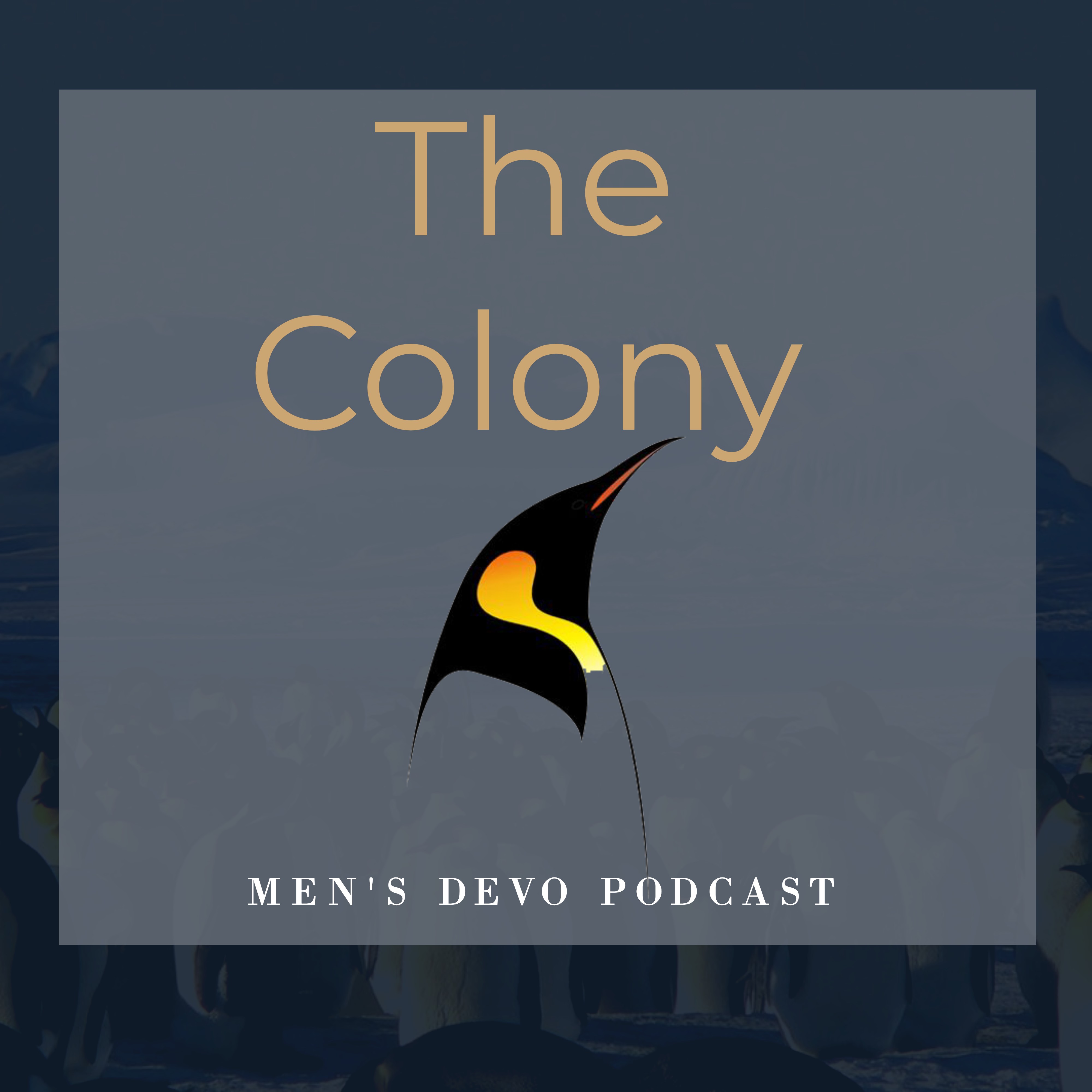 Welcome To The Colony Welcome To The Colony