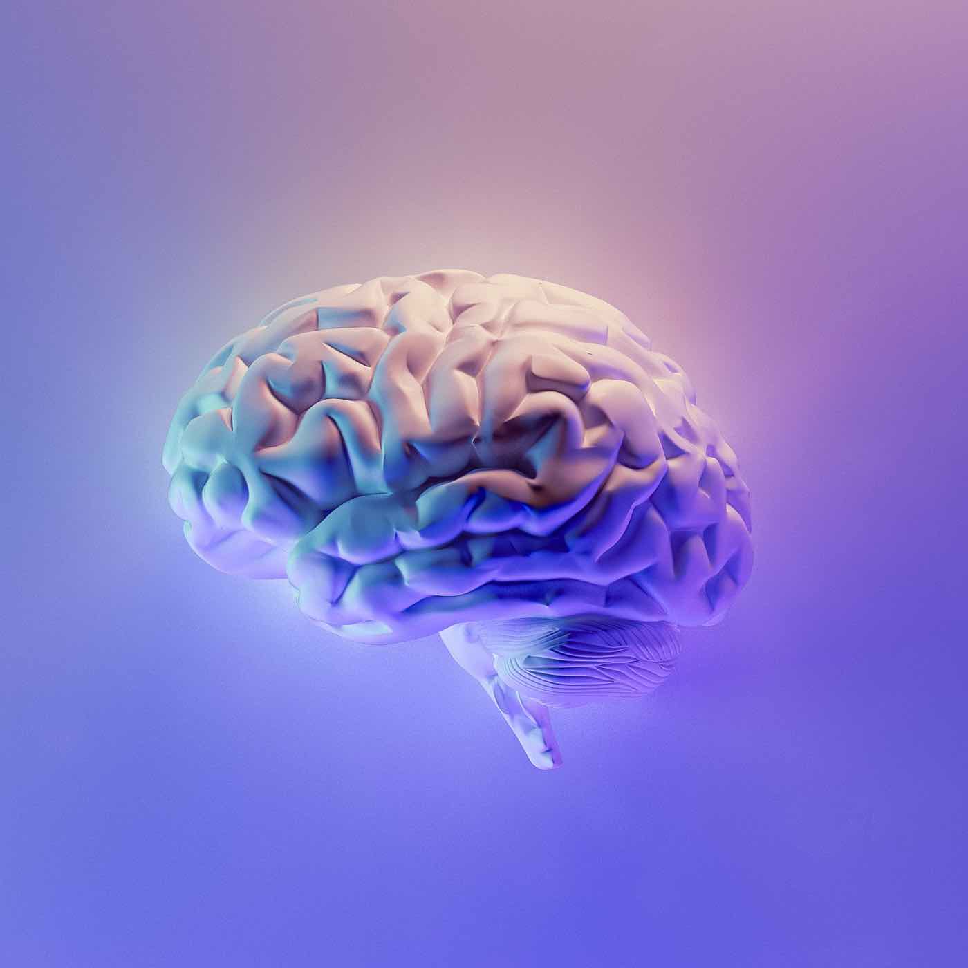 Leadership communications with Rob Cottingham