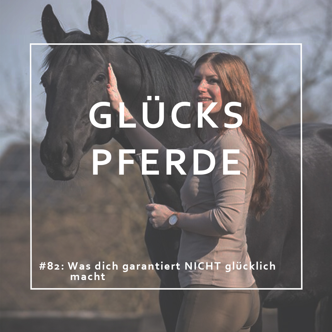 GlücksPferde - Erfüllt leben im Spiegel der Pferde