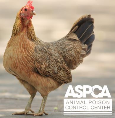 ASPCA Animal Poison Control Center for Owners
