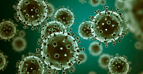 Cienciaes.com