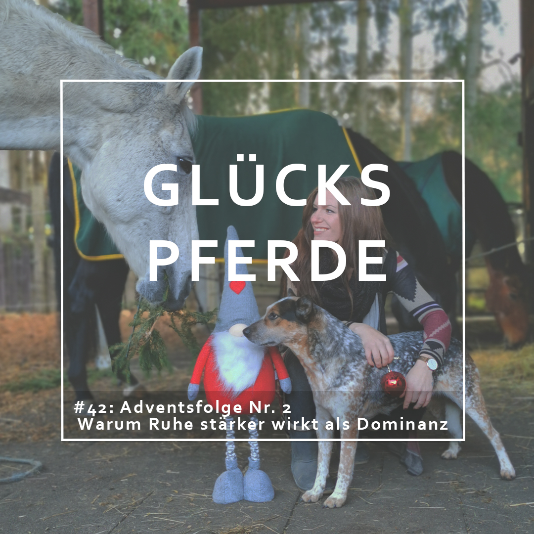 GlücksPferde - Erfüllt leben im Spiegel der Pferde