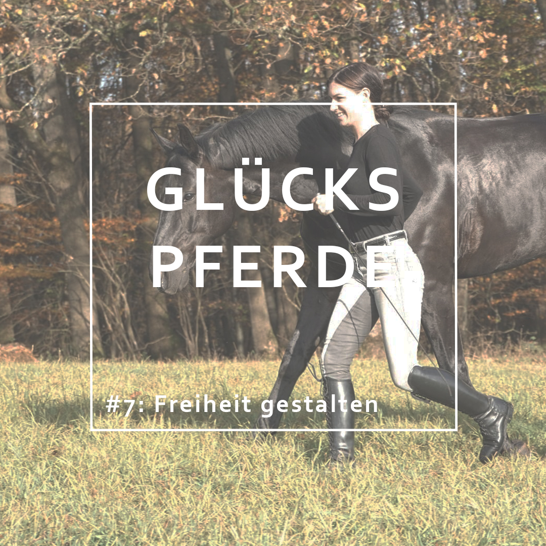 GlücksPferde - Erfüllt leben im Spiegel der Pferde