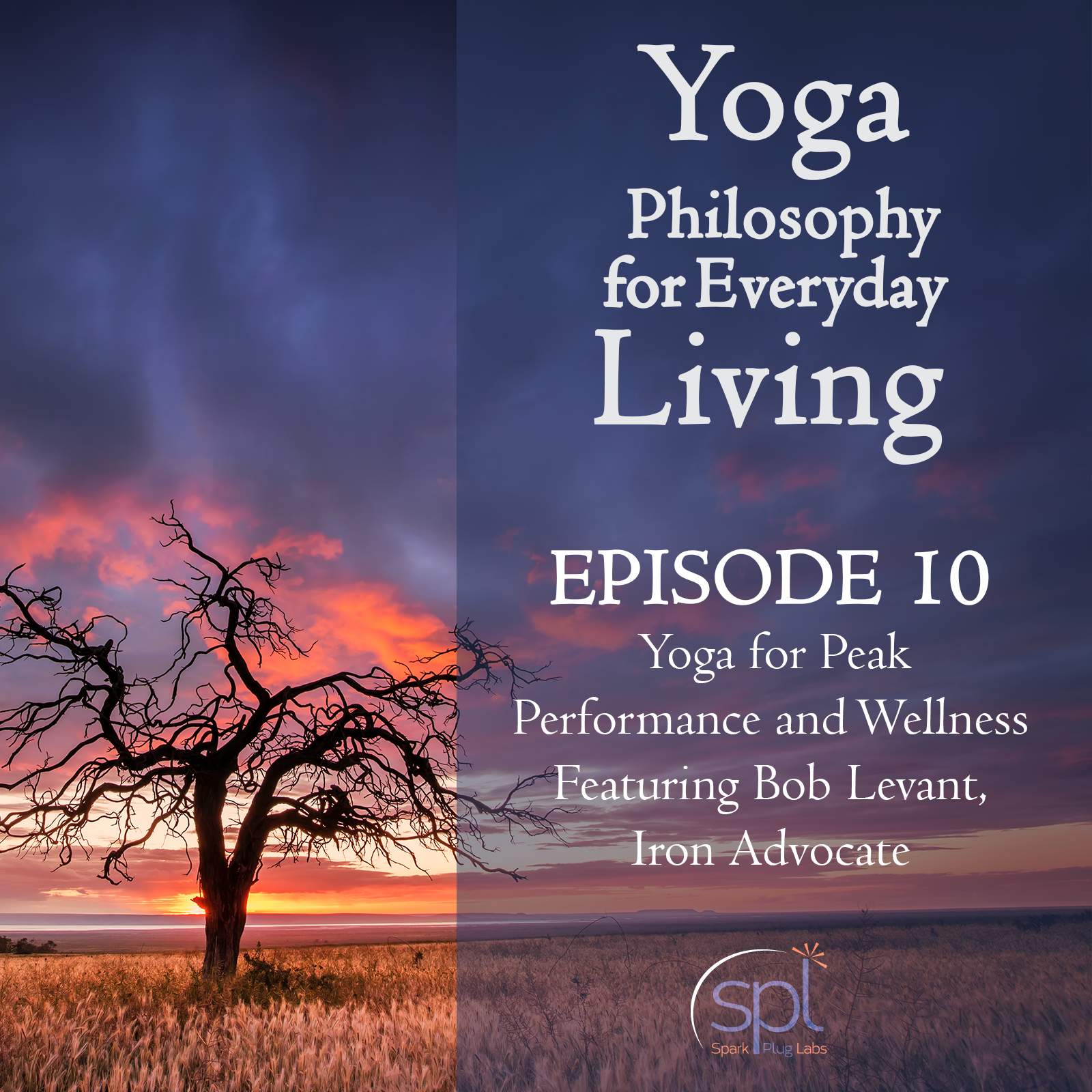 Yoga Philosophy for Everyday Living