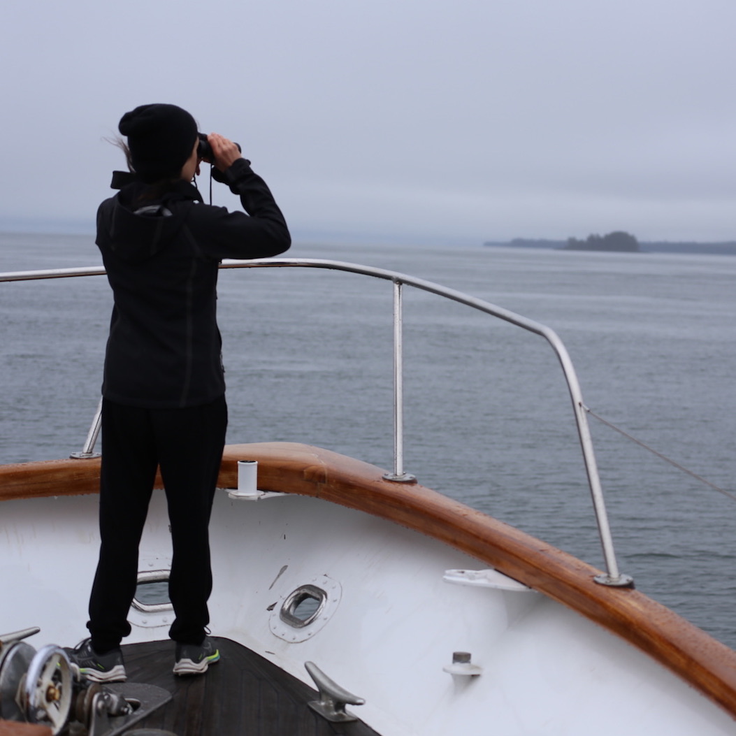 Episode 375: Sea Adventure to Alaska