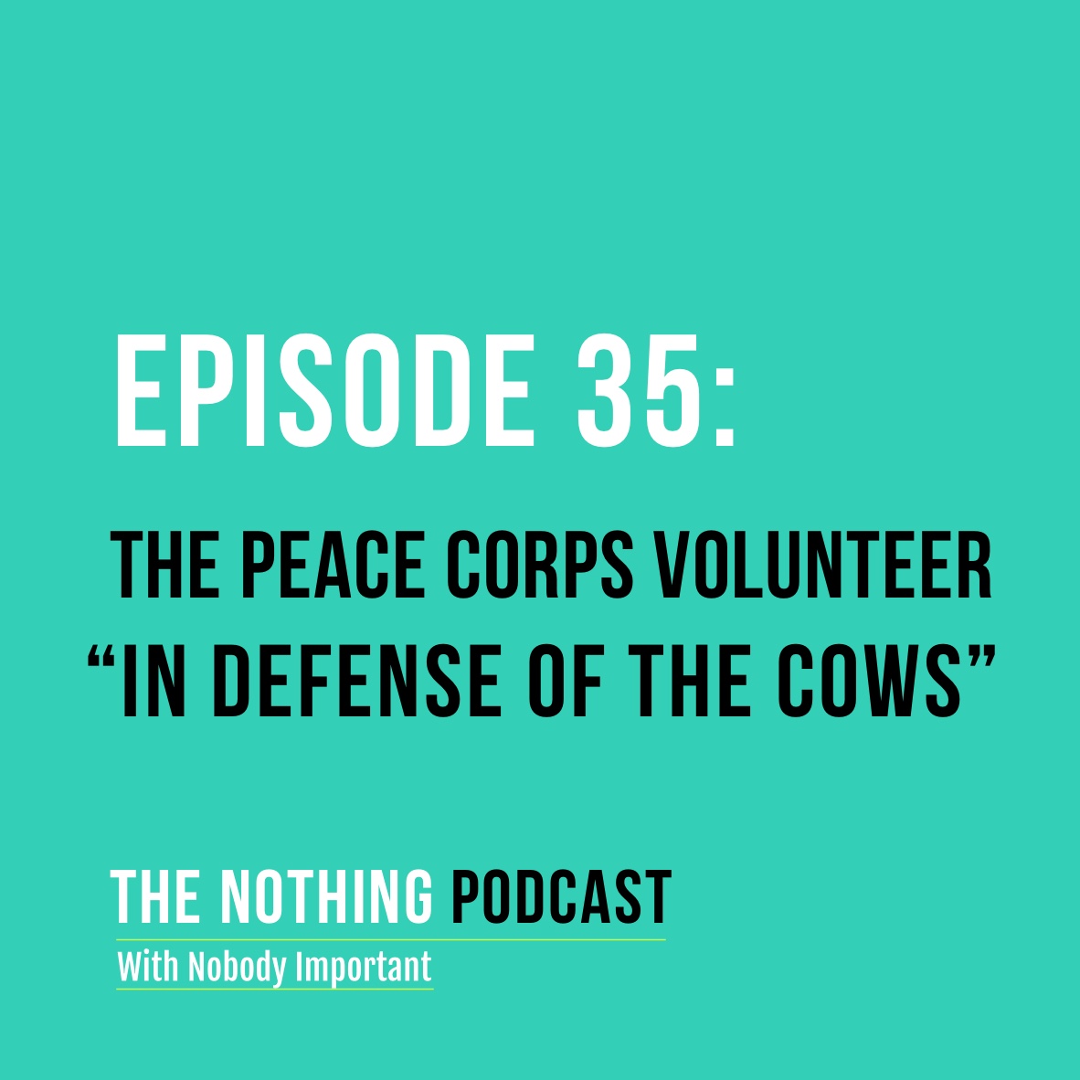 The Nothing Podcast With Nobody Important