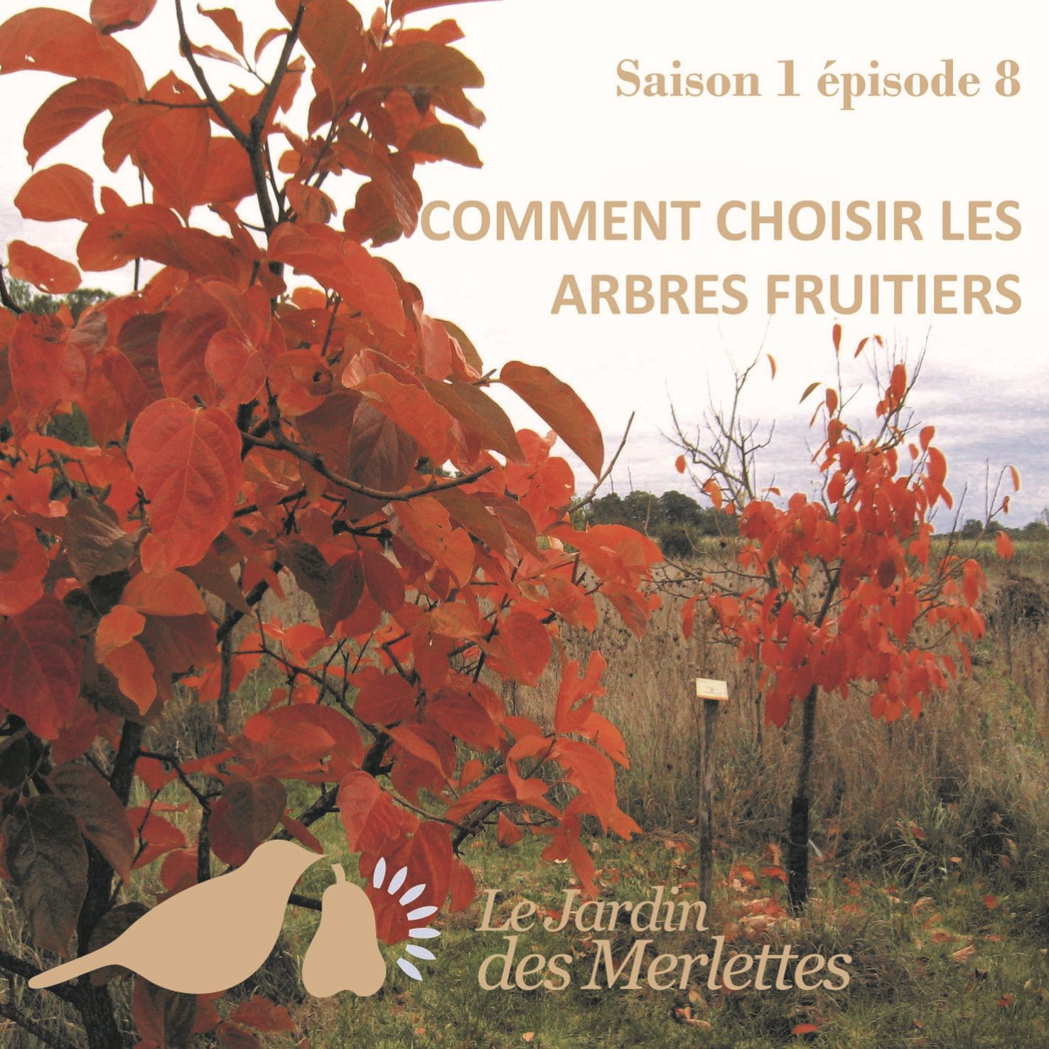 Le podcast du Jardin des Merlettes