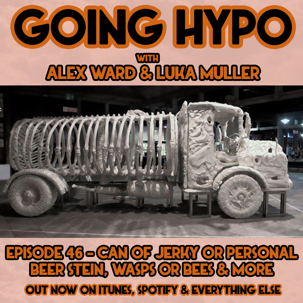 #46 - Can of Jerky or Personal Beer Stein, Wasps or Bees & more