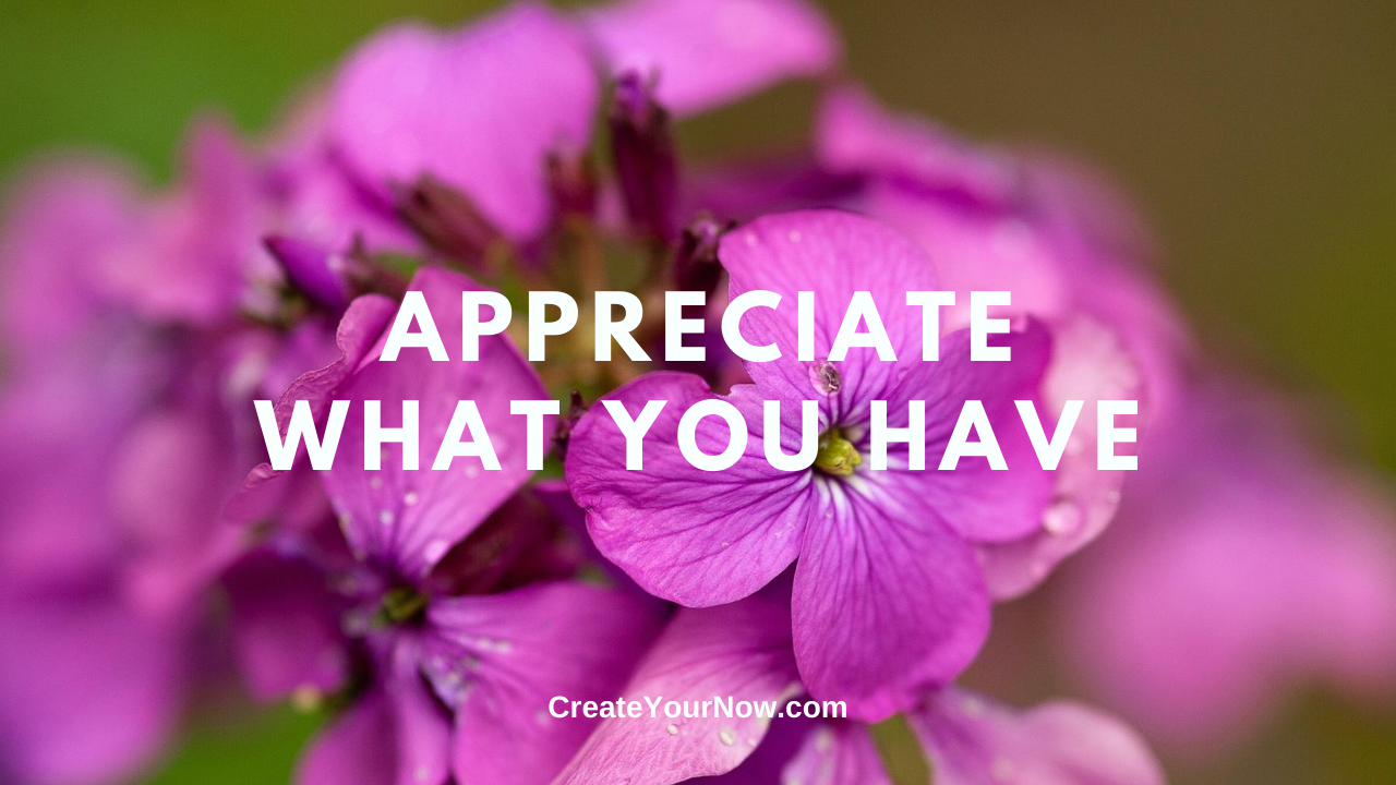 2033 Appreciate What You Have
