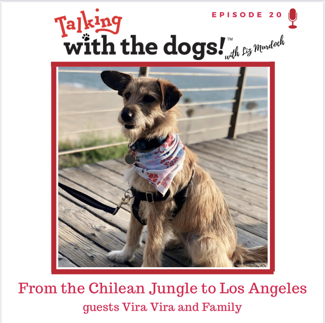 Talking with the dogs!