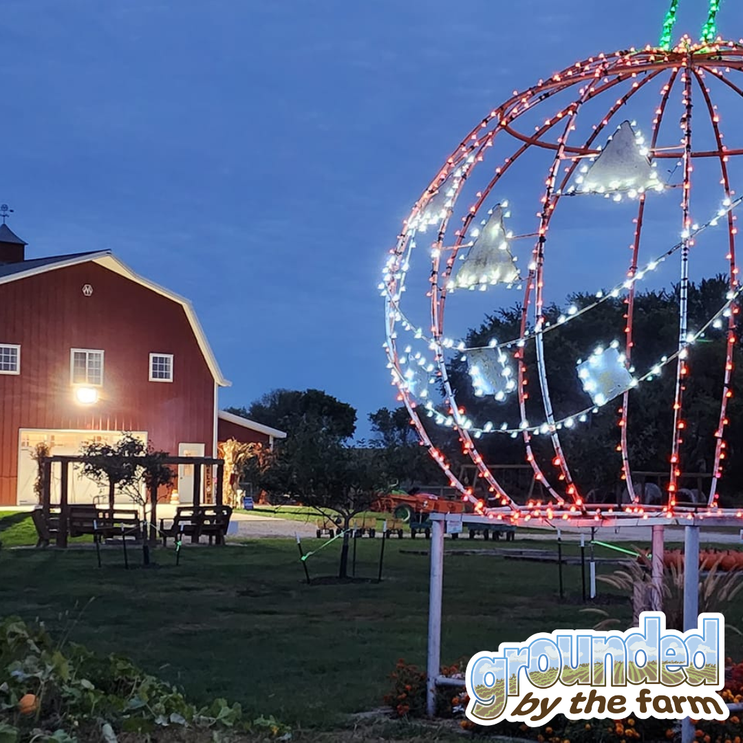 Grounded by the Farm