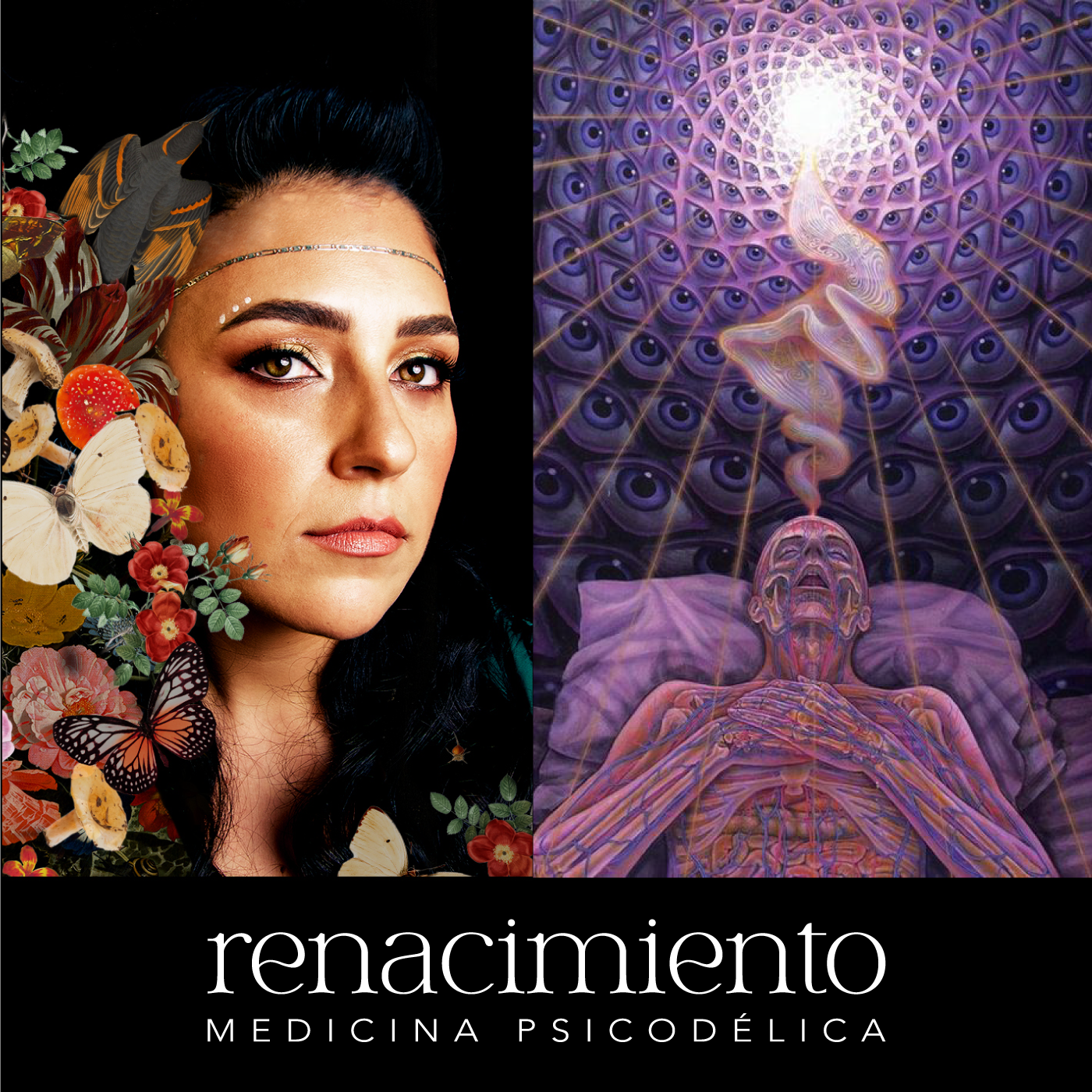 Renacimiento Medicina Psicodélica