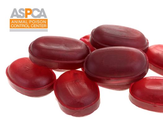 ASPCA Animal Poison Control Center for Owners