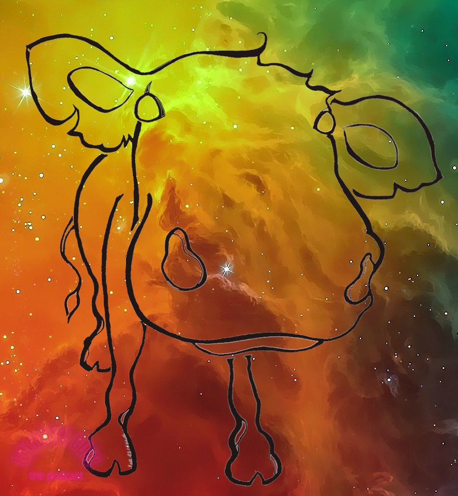 The Galactic Cow: Conversations about teaching, the Universe, and everything