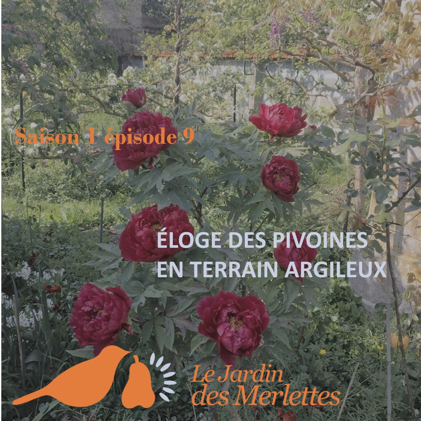 Le podcast du Jardin des Merlettes