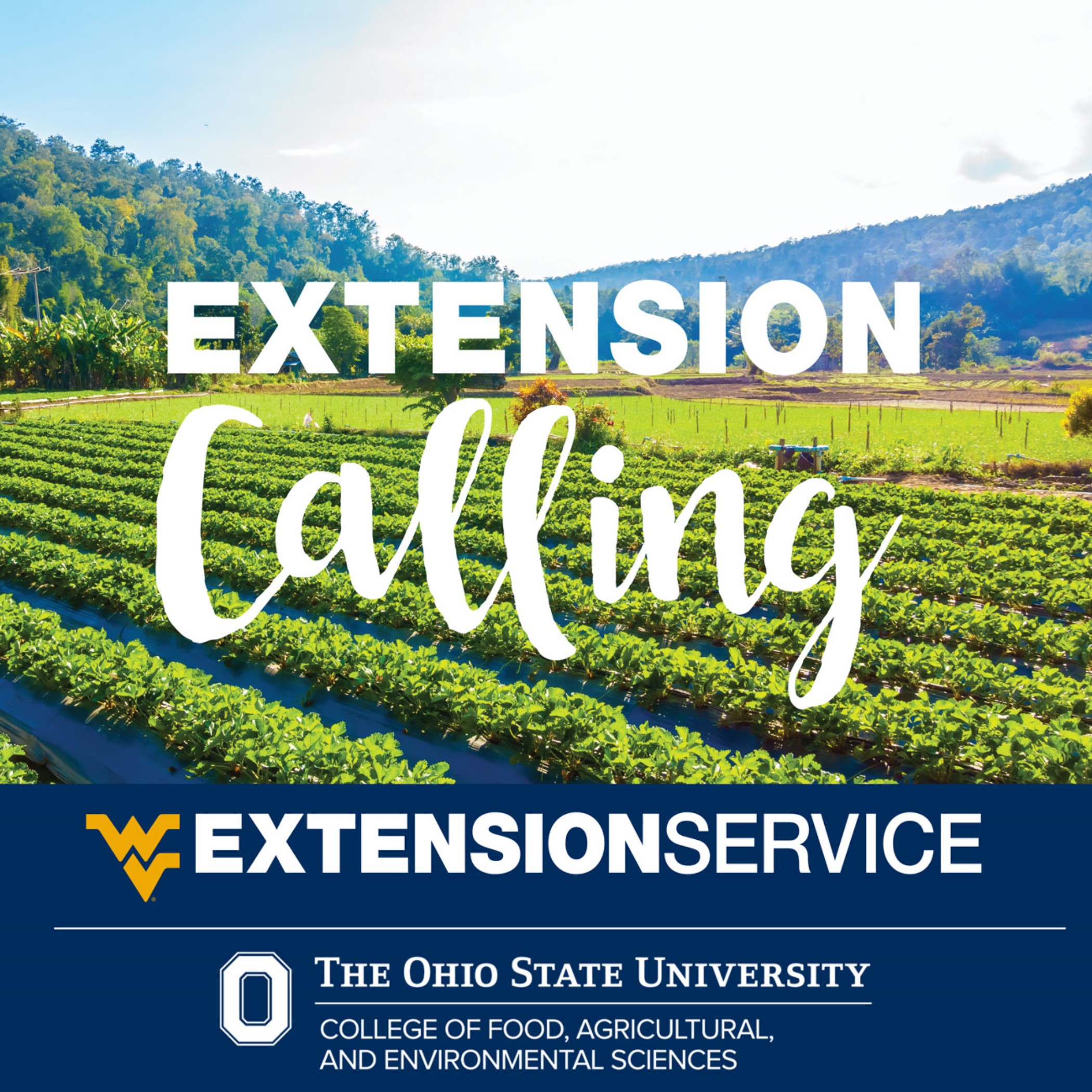 Extended calling