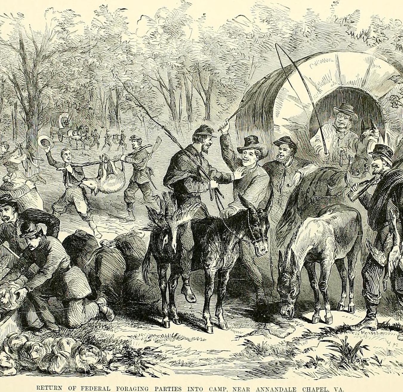 The Chronicles of the American Civil War