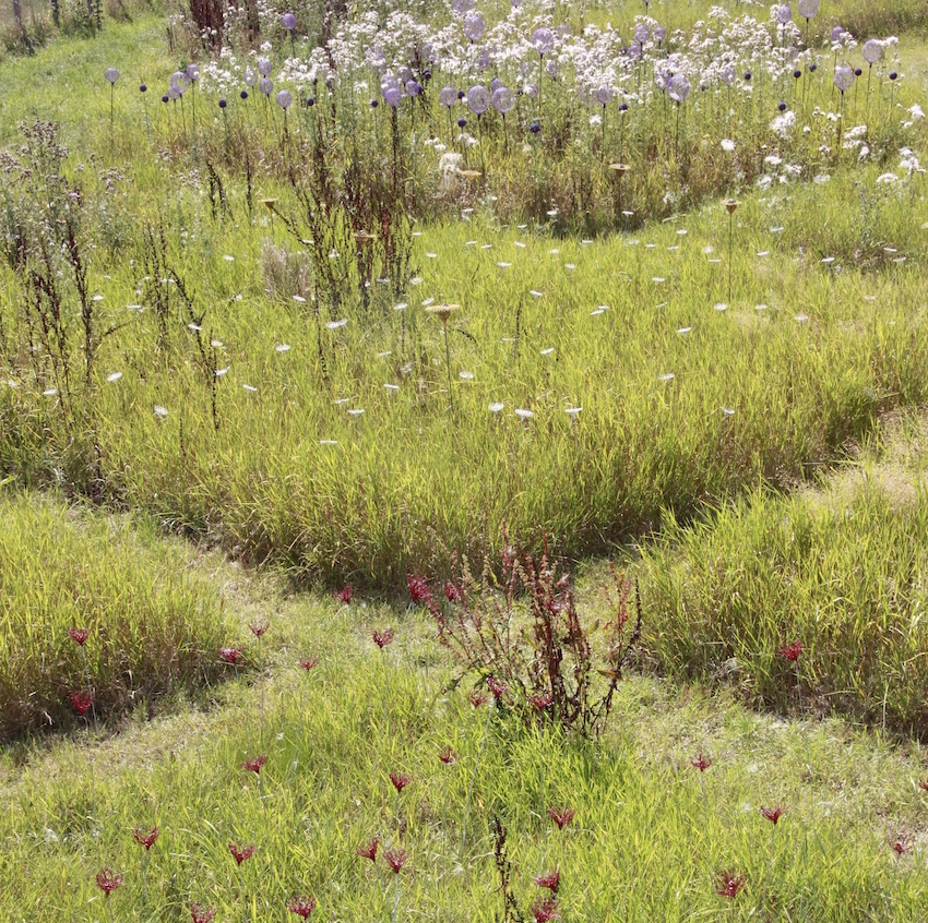Le podcast du Jardin des Merlettes