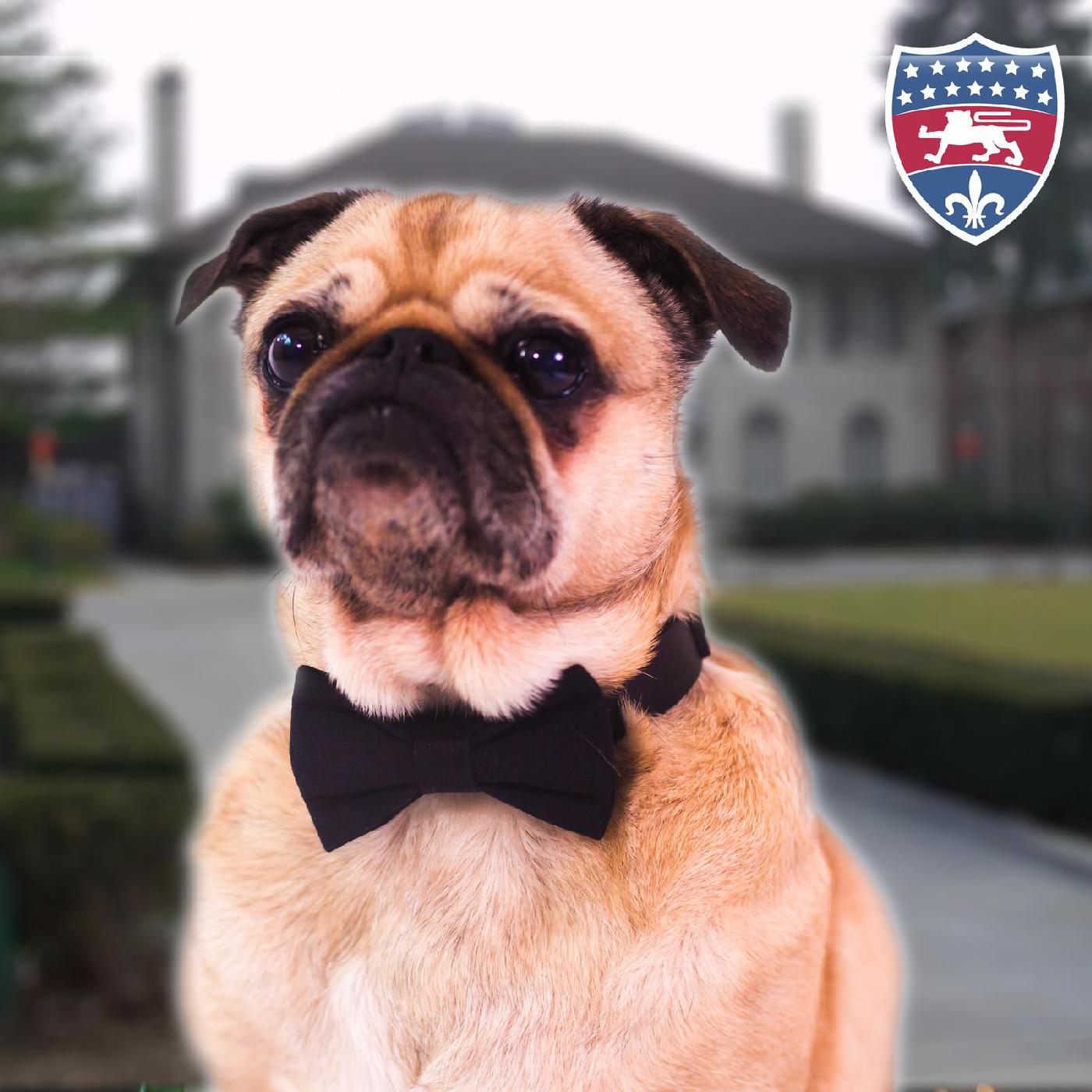 April Fools' headlines; Yemeni coffee expanding; Plus transit, beer + openings