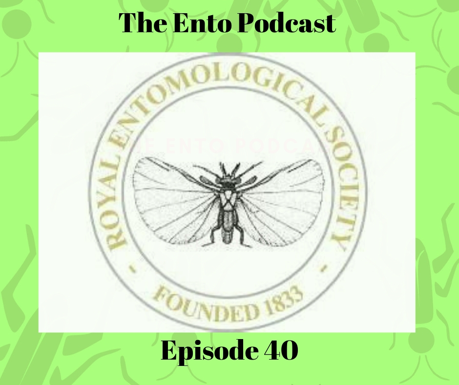 Episode 40