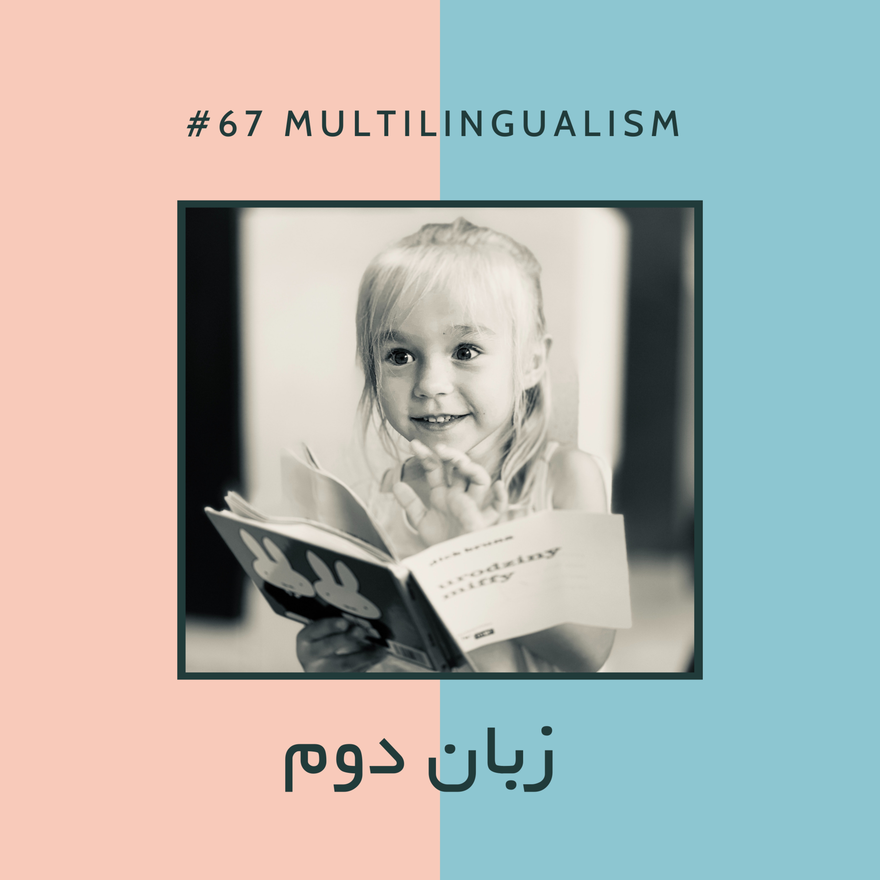 AJIL | آجیل