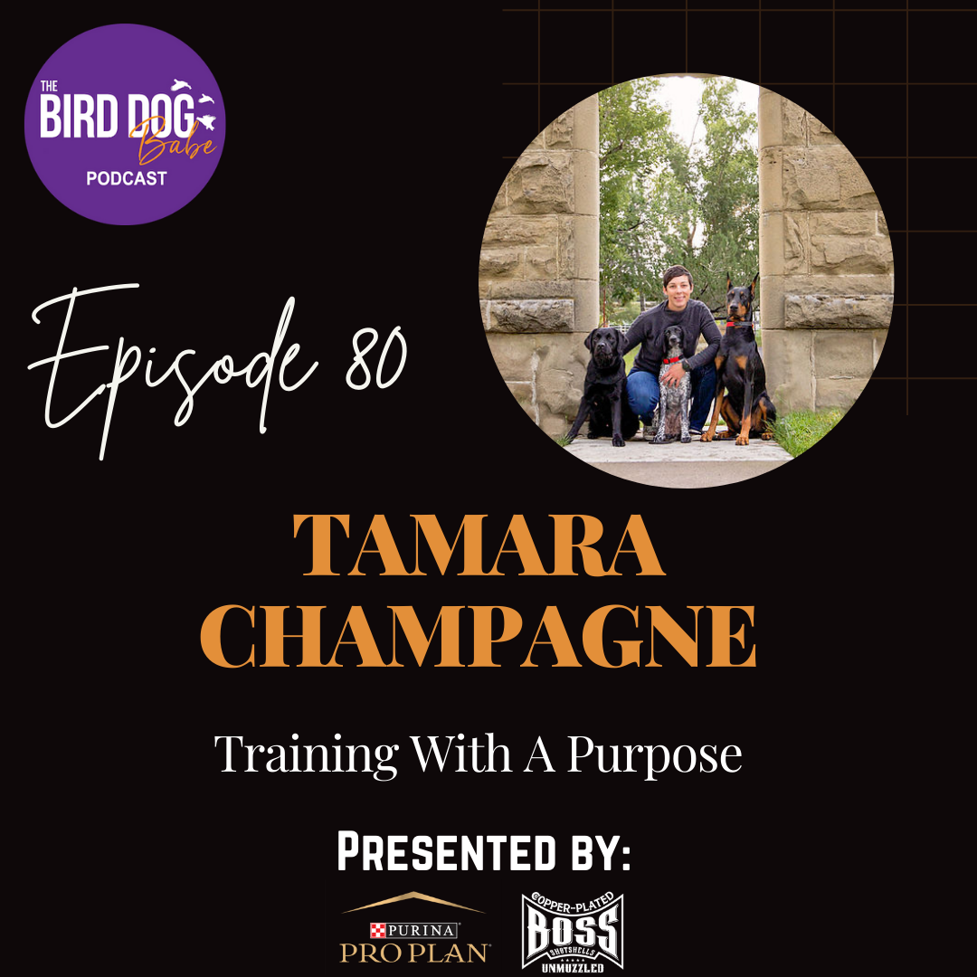 The Bird Dog Babe