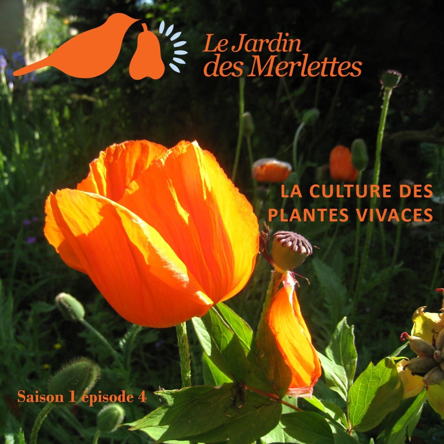 Le podcast du Jardin des Merlettes