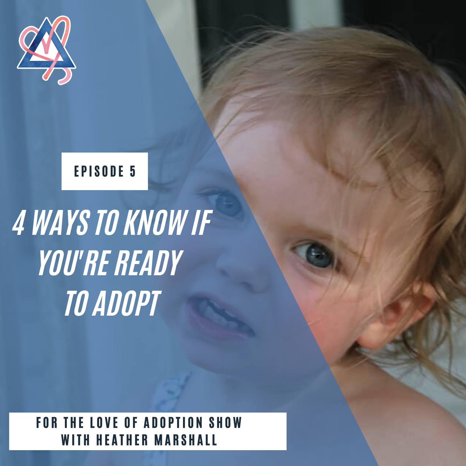 For the Love of Adoption Show