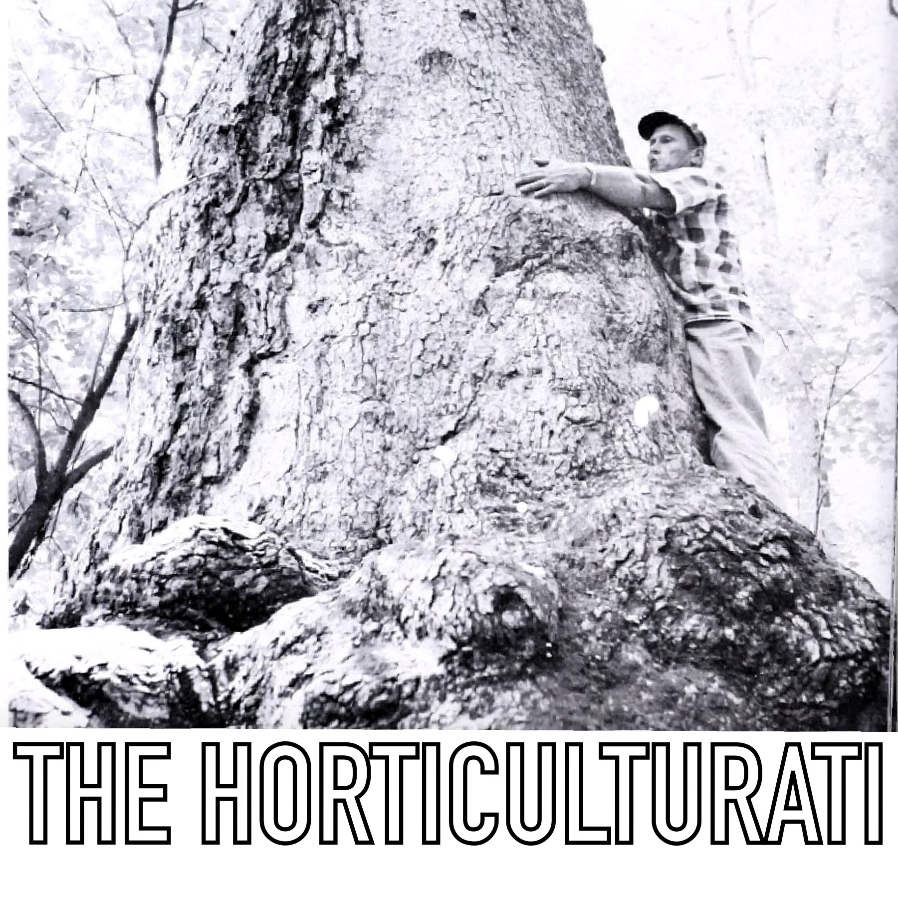 Hothouse