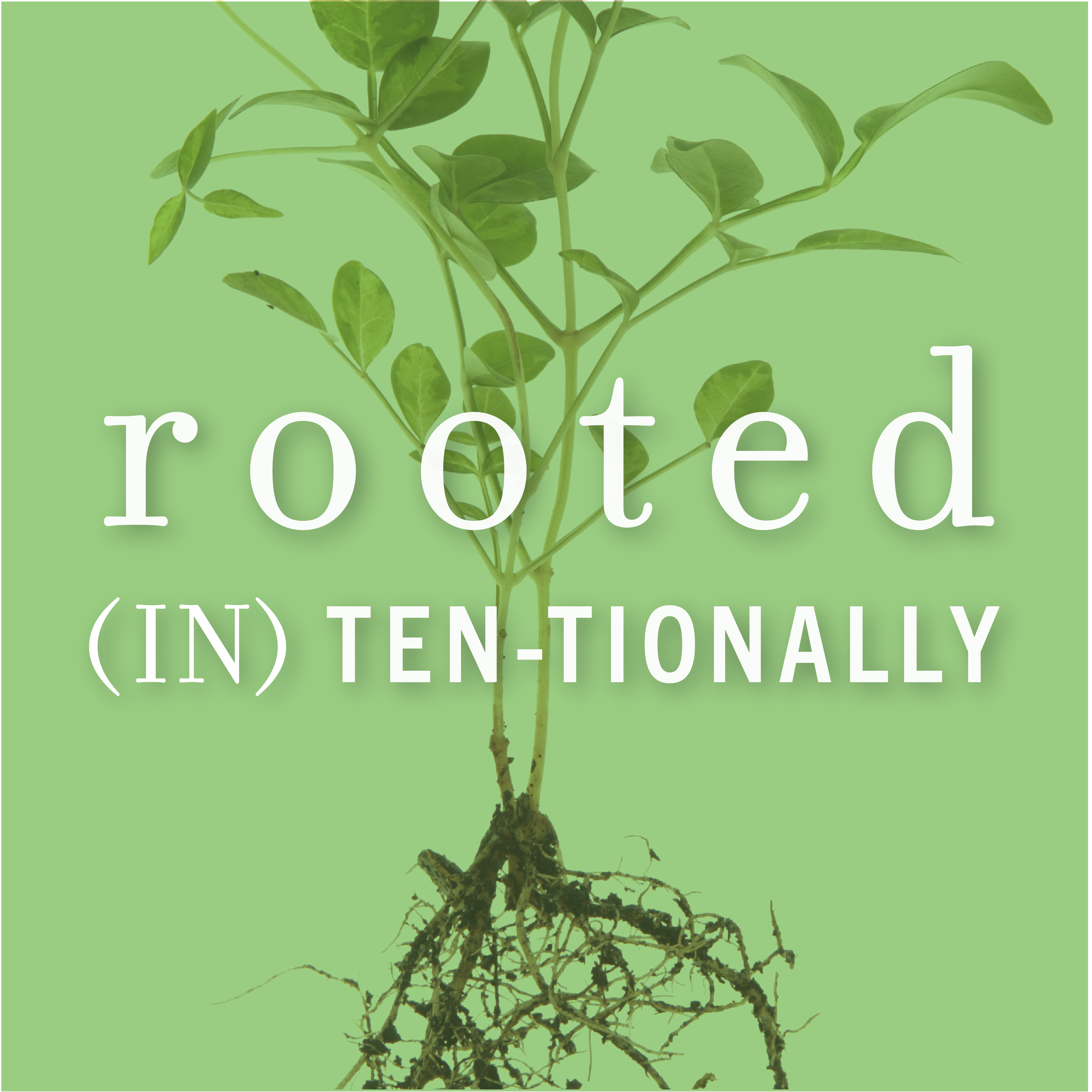rooted (IN).ten.tionally