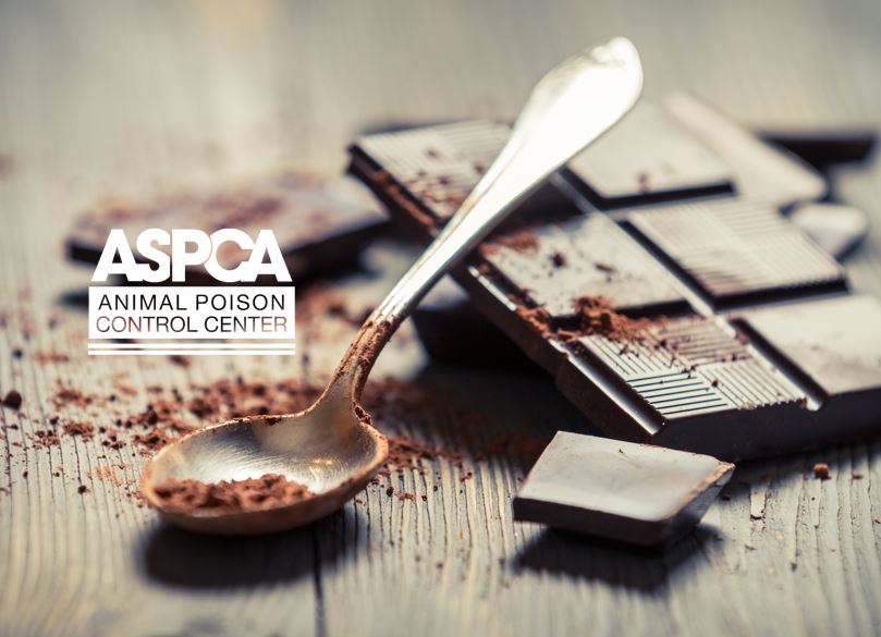 ASPCA Animal Poison Control Center for Owners