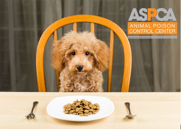ASPCA Animal Poison Control Center for Owners