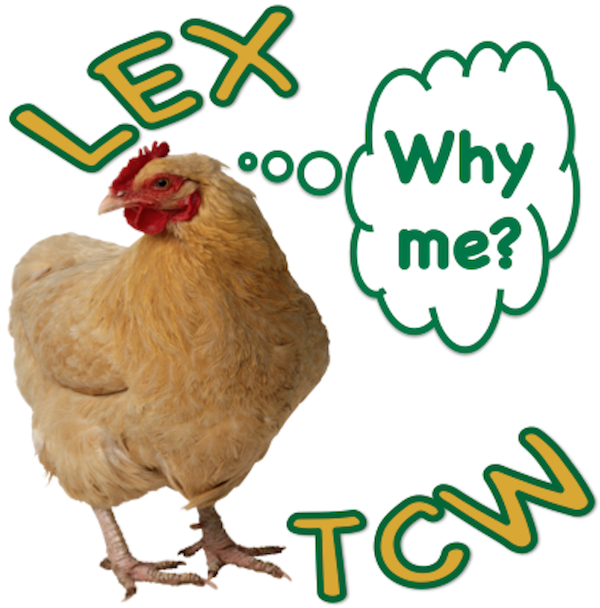 LEX - TCW Episode 26: The Mountain Dew sign and Pokémon Legos.