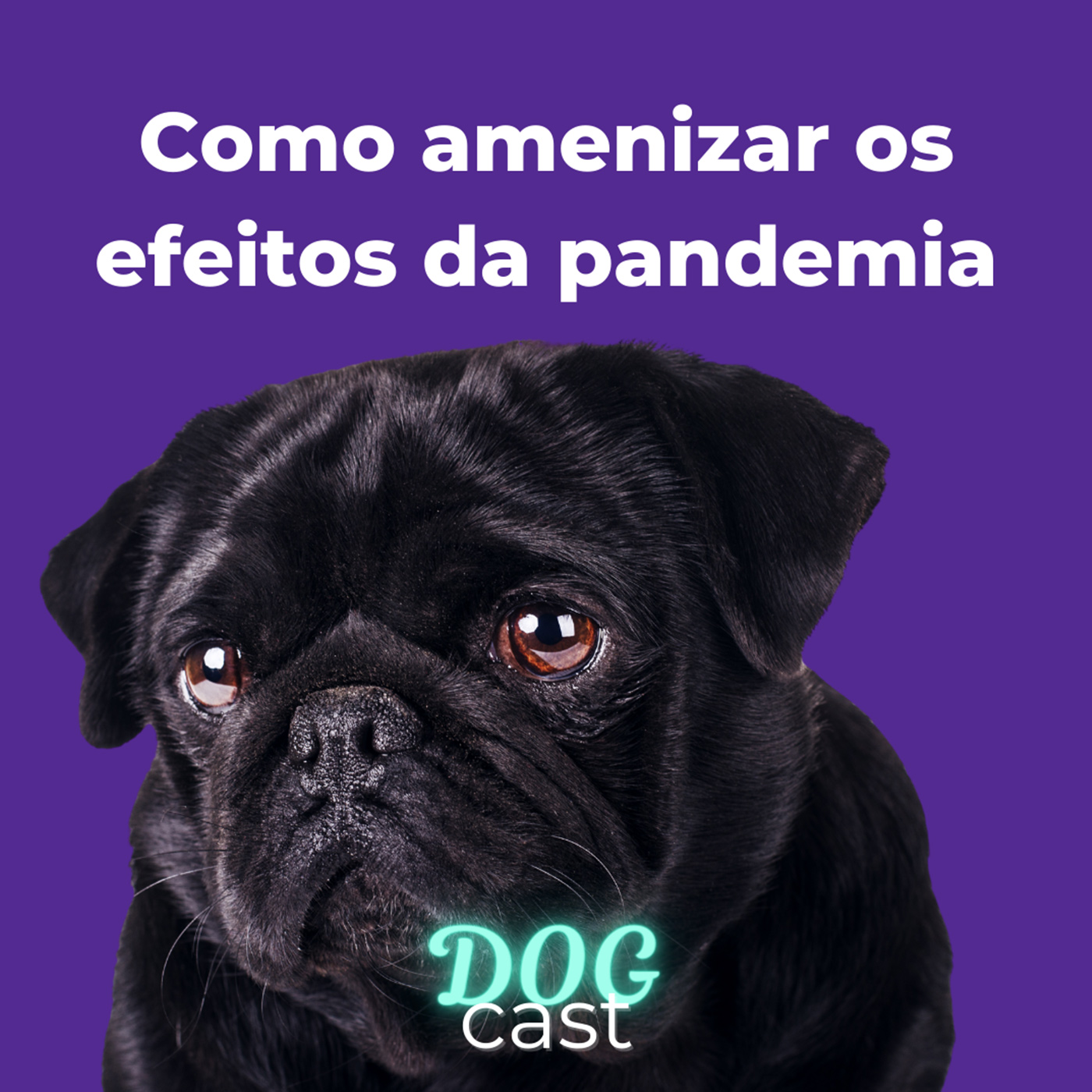 DogCast