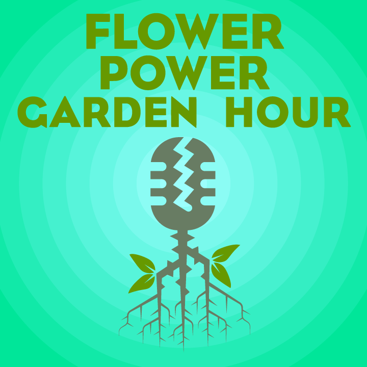 Building healthy soil, with Melinda Cordell