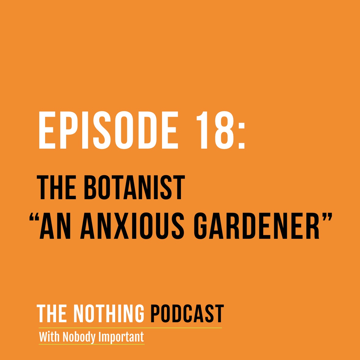 The Nothing Podcast With Nobody Important