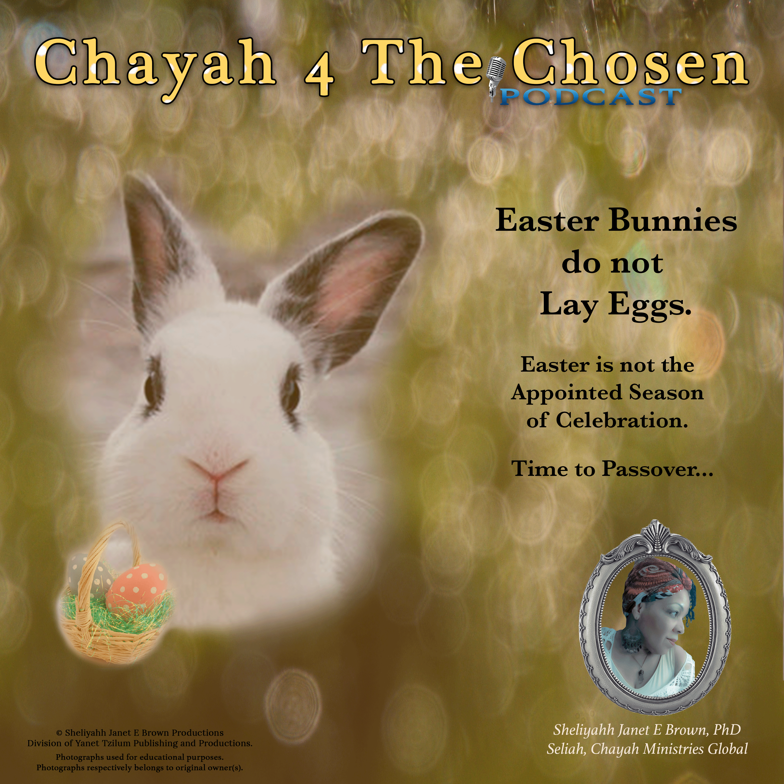 EASTER BUNNIES DO NOT LAY EGGS