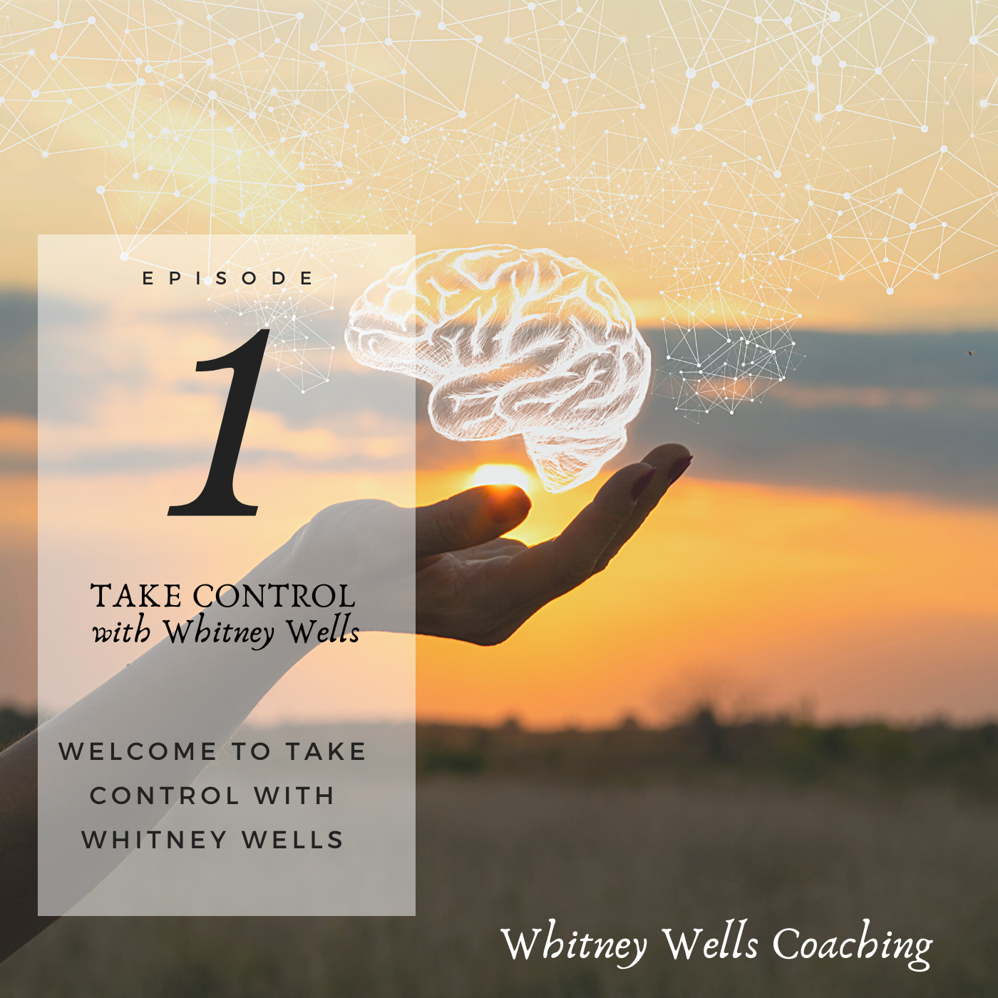 Take Control with Whitney Wells